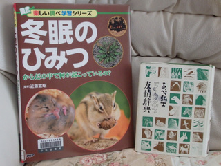 P2060095_01.JPG